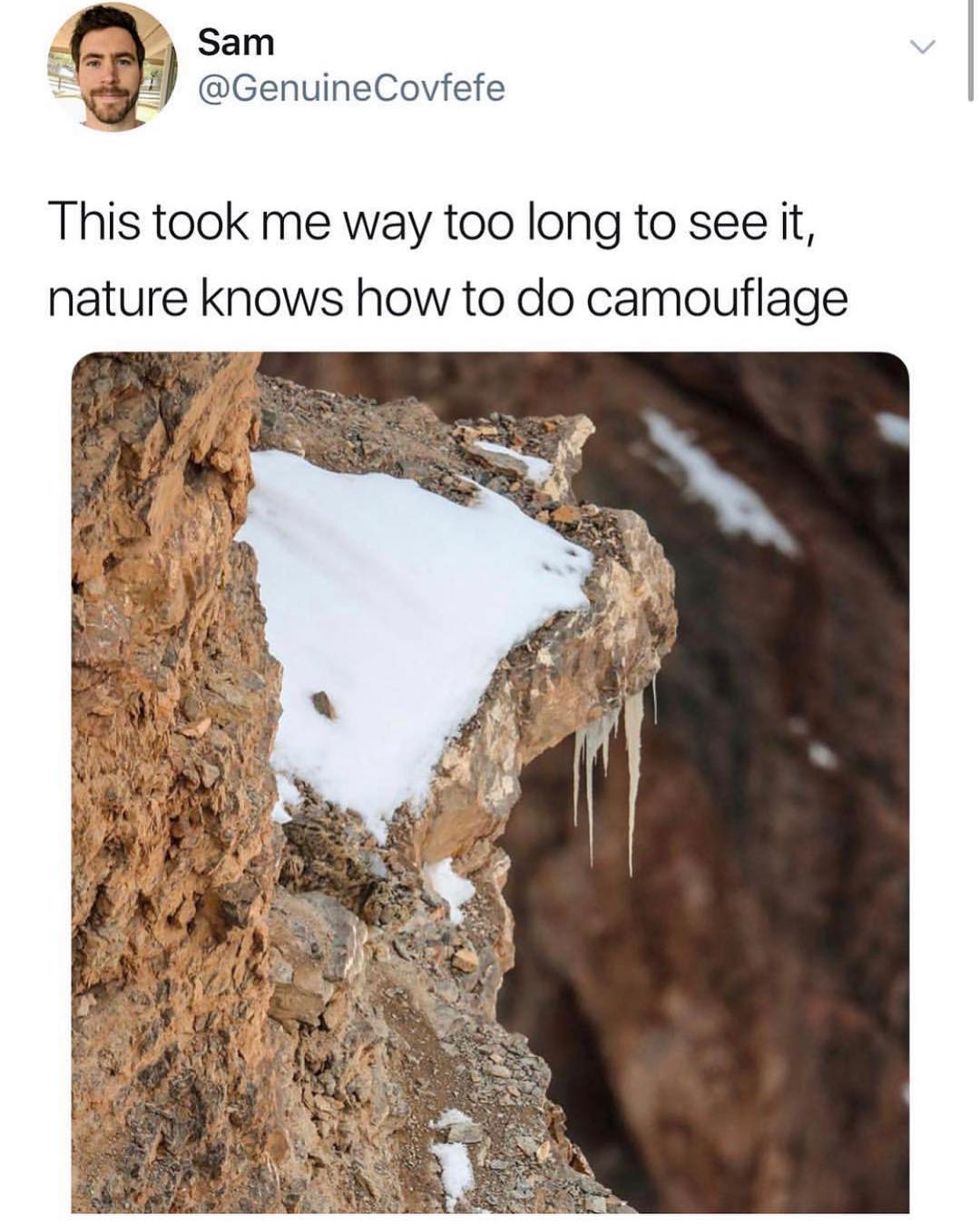 GenuineCovfefe This took me way too long to see it nature knows how to do camouflage