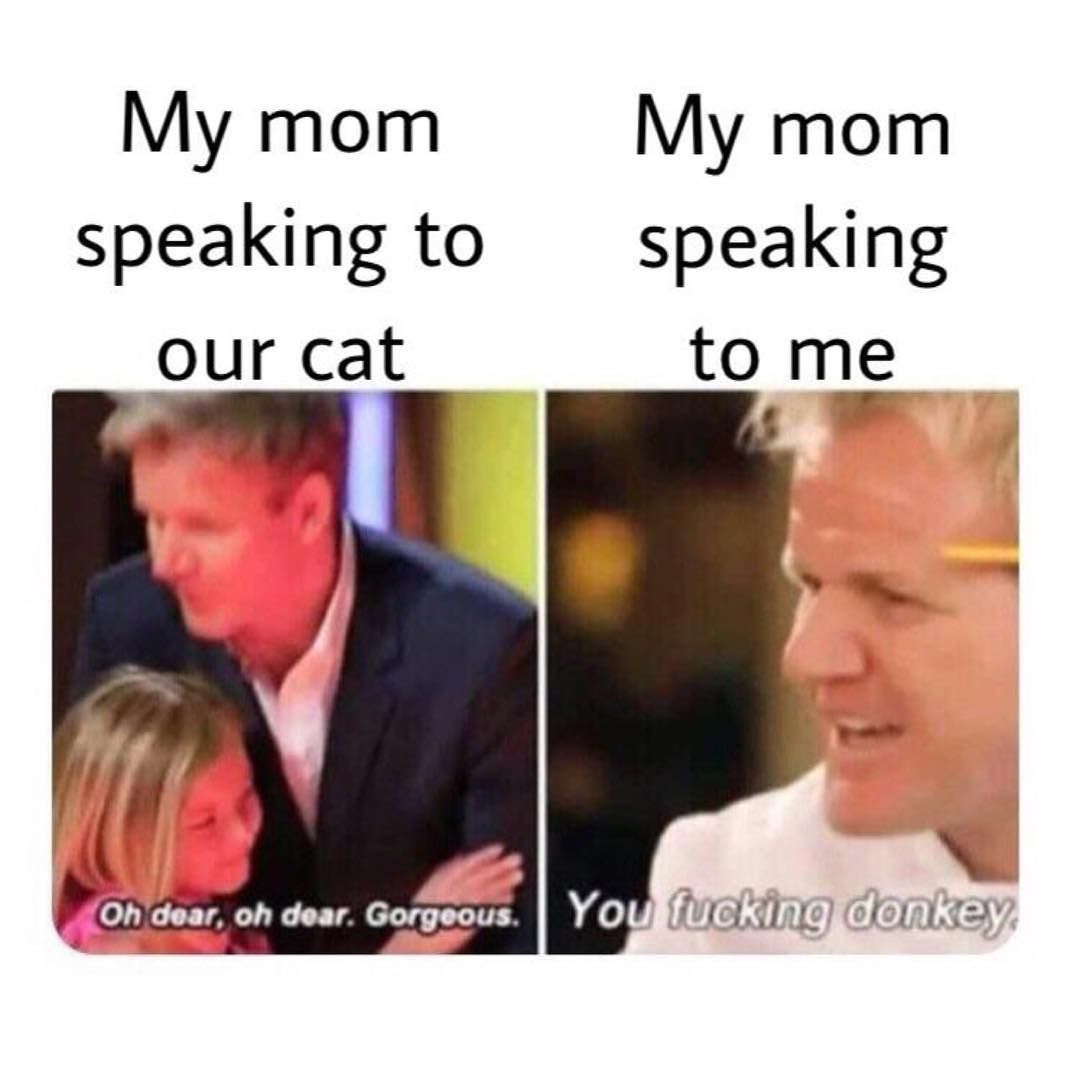 My mom My mom speaking to speaking our cat to me