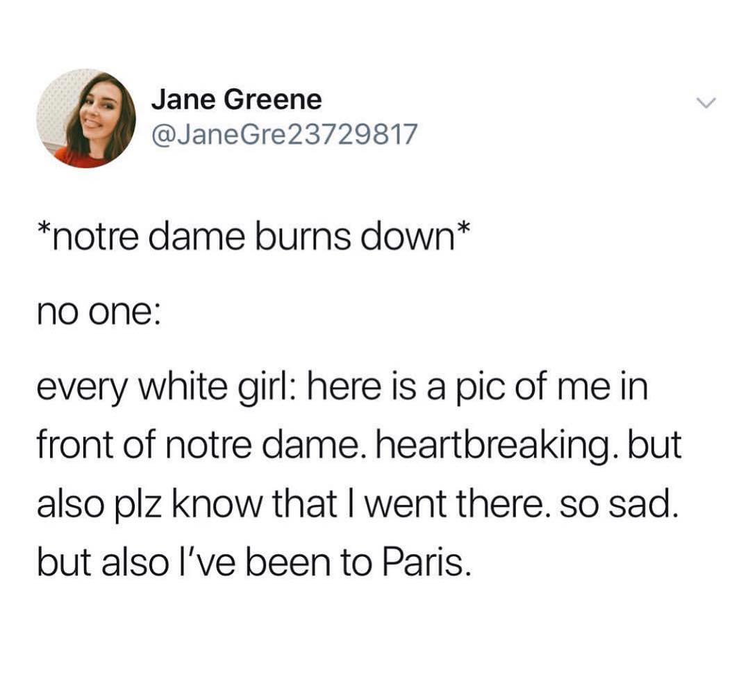 Jane Greene JaneGre23729817 notre dame burns down no one every white girl here is a pic of me in front of notre dame heartbreaking but also plz know that went there so sad but also Ive been to Paris