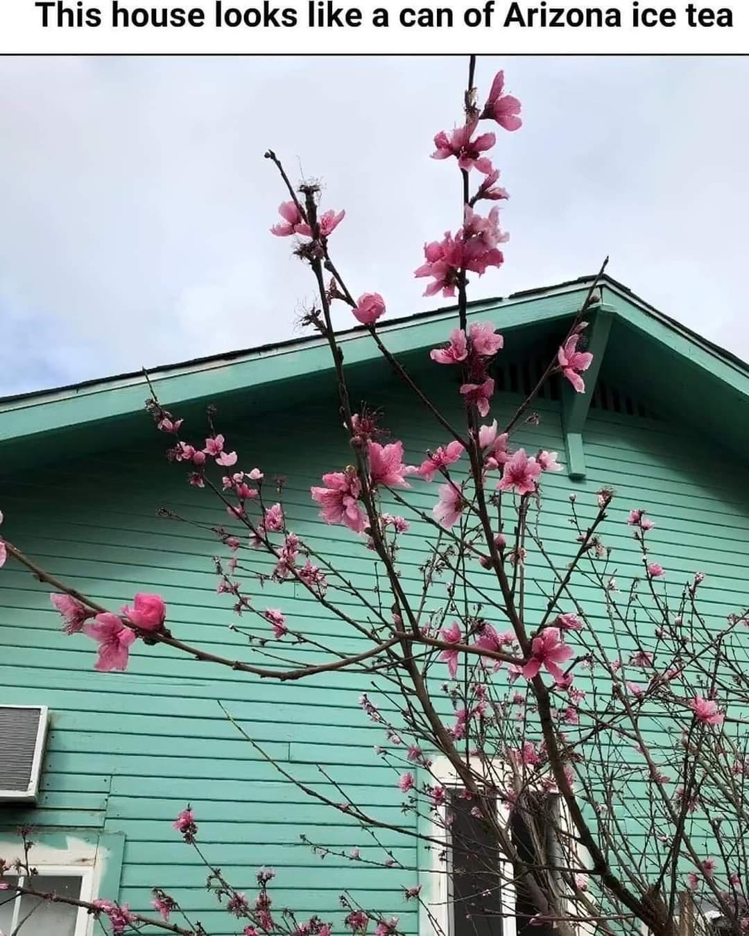 This house looks like a can of Arizona ice tea