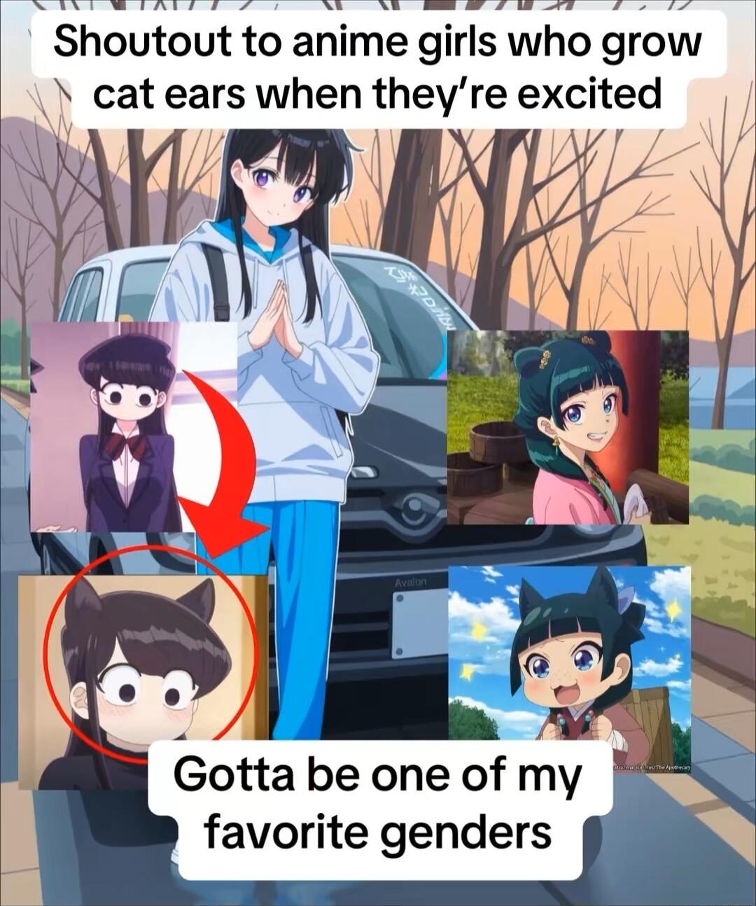 Shoutout to anime girls who grow cat ears when theyre excited X 4 7 otta be one of my favorite genders