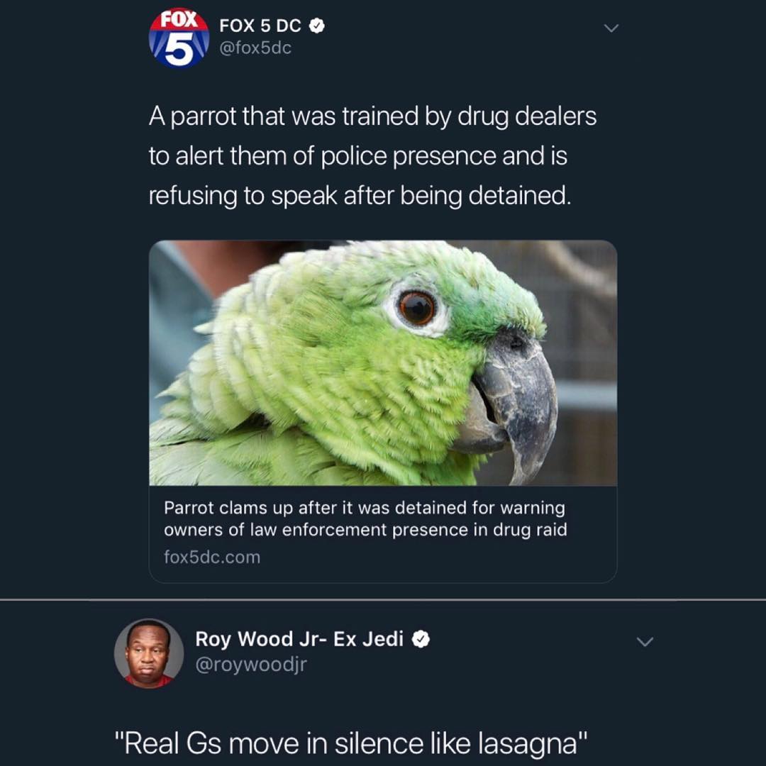 o Frlex v le55Tee3 A parrot that was trained by drug dealers to alert them of police presence and is refusing to speak after being detained Parrot clams up after it was detained for warning owners of law enforcement presence in drug raid fox5dccom F Roy Wood Jr Ex Jedi IfeAeoTe 13 Real Gs move in silence like lasagna