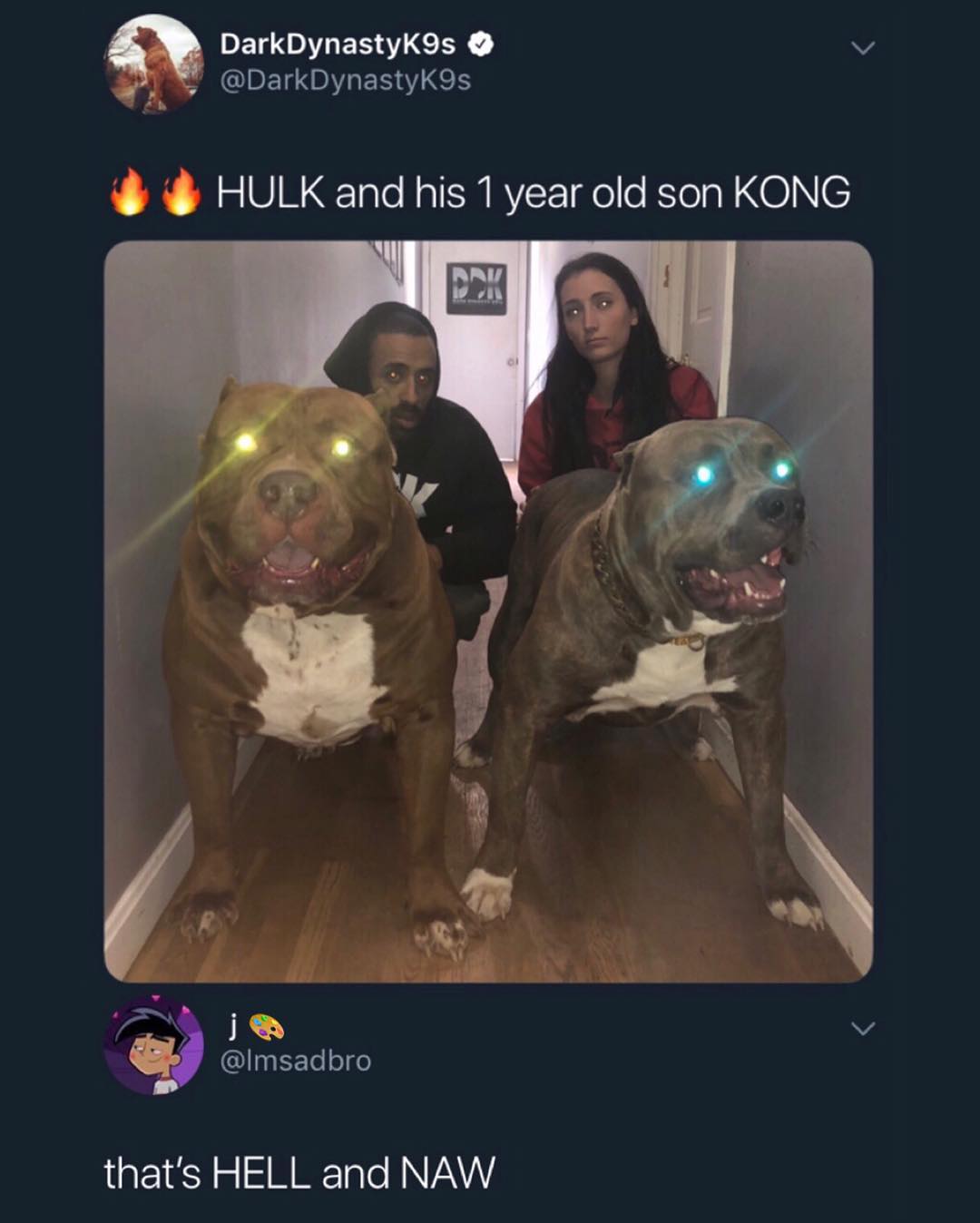 DETOIESICER R S CIRENBITERTE S HULK and his 1 year old son KONG v WRY W L i S WL v 4 Imsadbro P e M Talo MNVAY