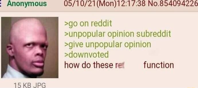 Anonymous 051021Mon121738 No854094226 go on reddit unpopular opinion subreddit give unpopular opinion downvoted how do these re function 15 KB JPG