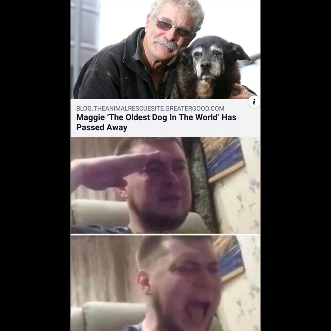 Maggie fhe Oldest Dog In The World Has Passed Away