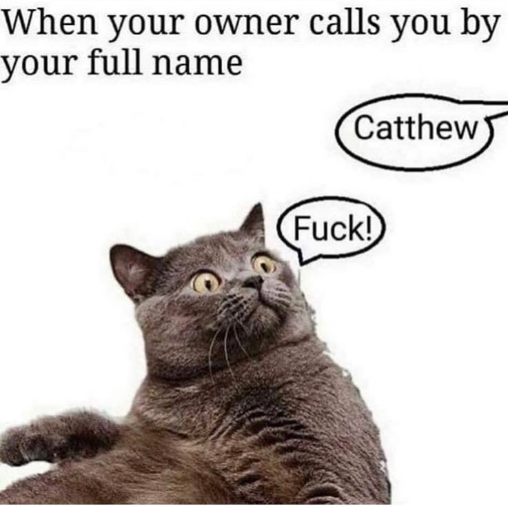 When your owner calls you by your full name
