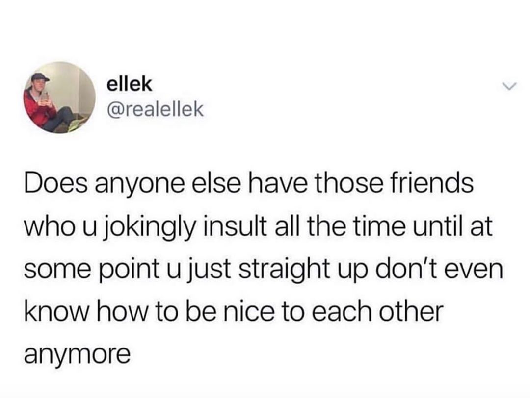 ellek realellek Does anyone else have those friends who u jokingly insult all the time until at some point u just straight up dont even know how to be nice to each other anymore