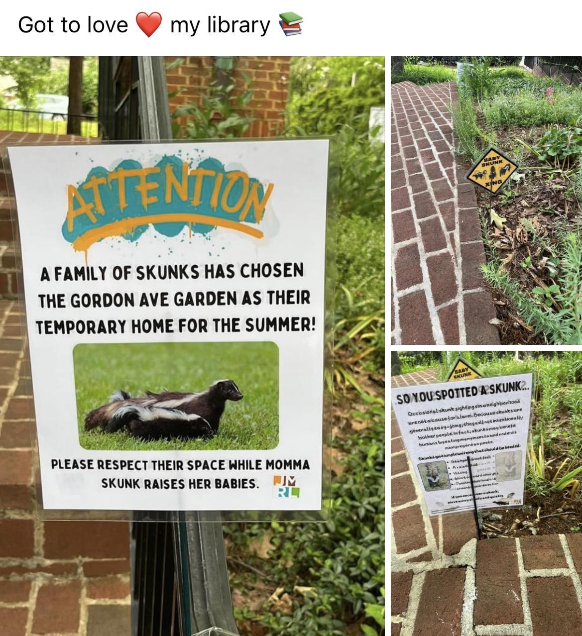 Got to love my library A FAMILY OF SKUNKS HAS CHOSEN THE GORDON AVE GARDEN AS THEIR TEMPORARY HOME FOR THE SUMMER PLEASE RESPECT THEIR SPACE WHILE MOMMA SKUNK RAISES HER BABIES l