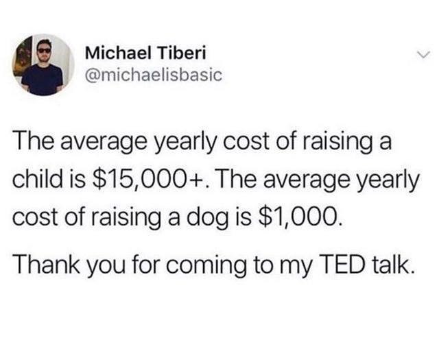 A Michael Tiberi michaelisbasic The average yearly cost of raising a child is 15000 The average yearly cost of raising a dog is 1000 Thank you for coming to my TED talk