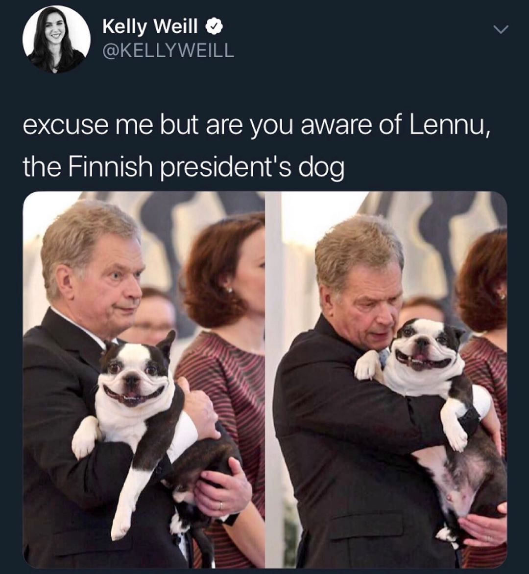 n LCIAYAIK v KELLYWEILL excuse me but are you aware of Lennu the Finnish presidents dog