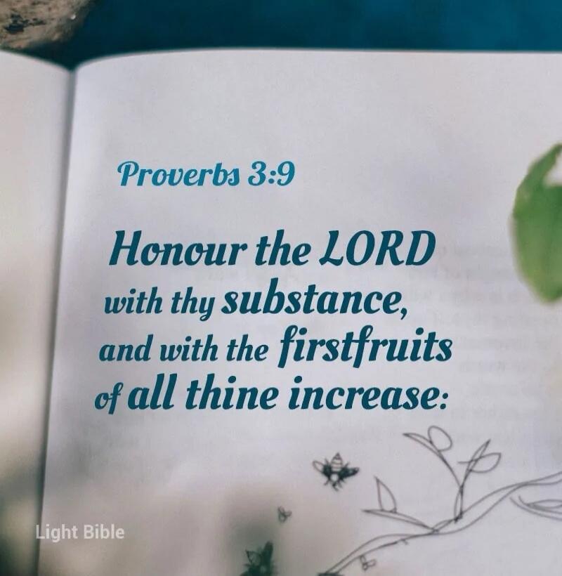 Proverbs 3:9 Honour the LORD with thy substance, and with the firstfruits of all thine increase: Light Bible