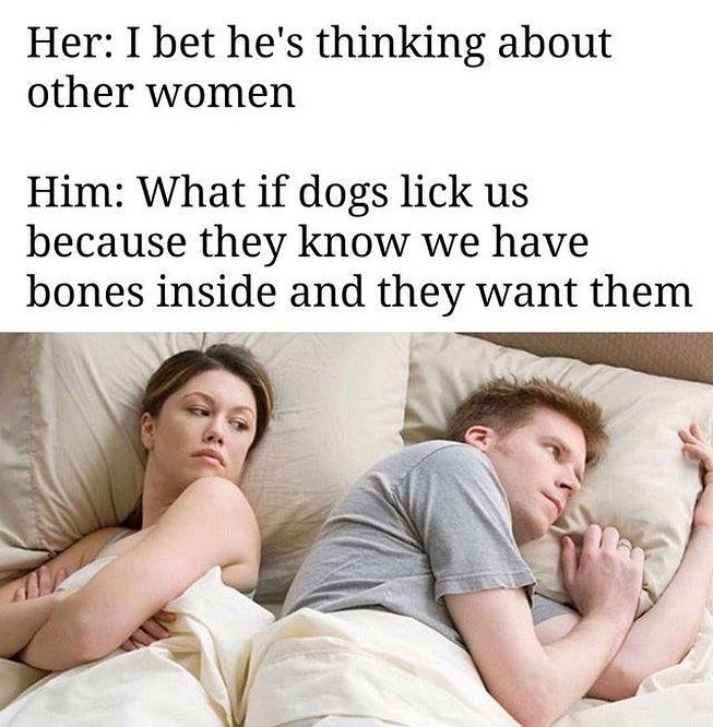Her I bet hes thinking about other women Him What if dogs lick us because they know we have bones inside and they want them