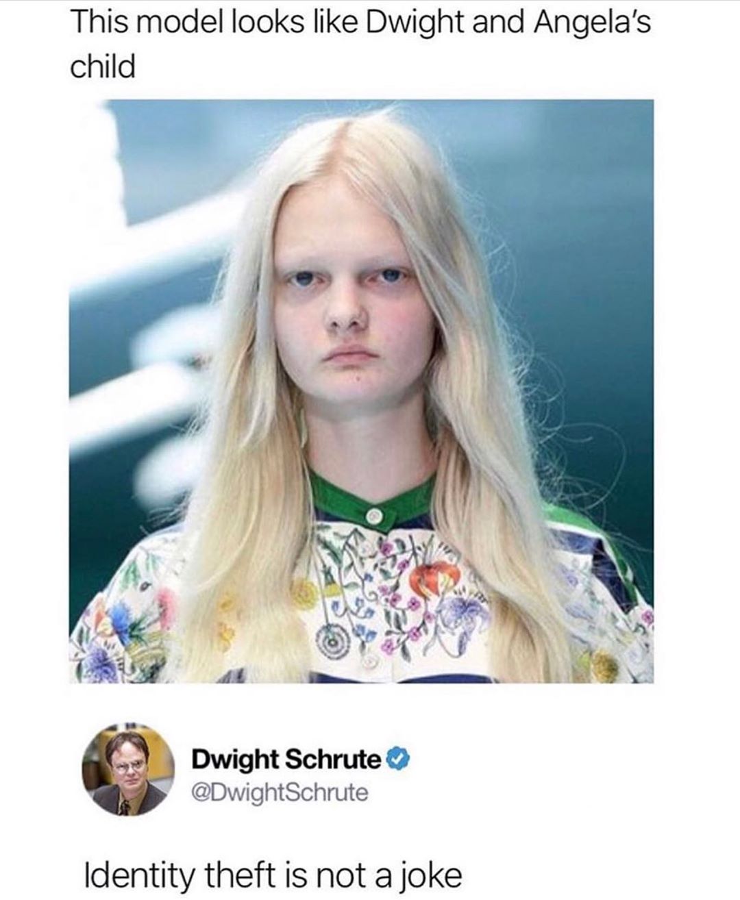This model looks like Dwight and Angelas child DwightSchrute Identity theft is not a joke