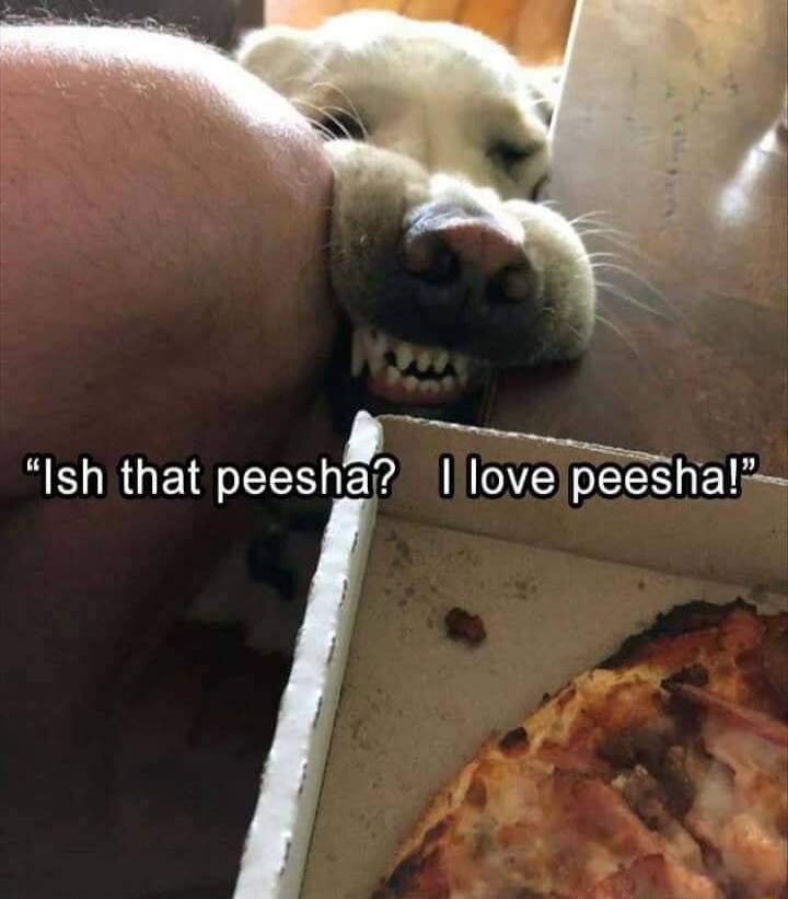 Ish that peesha love peeshal