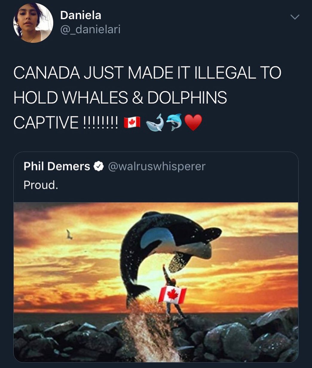 3 DENWEIE v QECENIEIETT CANADA JUST MADE IT ILLEGAL TO HOLD WHALES DOLPHINS Phil Demers walruswhisperer Proud
