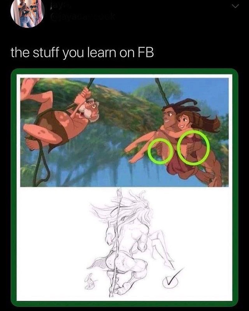 the stuff you learn on FB