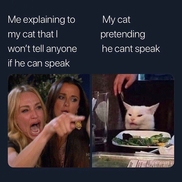 WY EXNelETplpleRe YYAex1 ez Rigk1d pretending wont tell anyone he cant speak if he can speak
