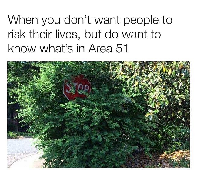 When you dont want people to risk their lives but do want to know whats in Area 51