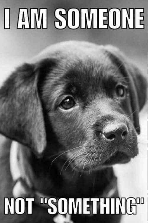 JiAL SOMEONE NOT SaMETHING