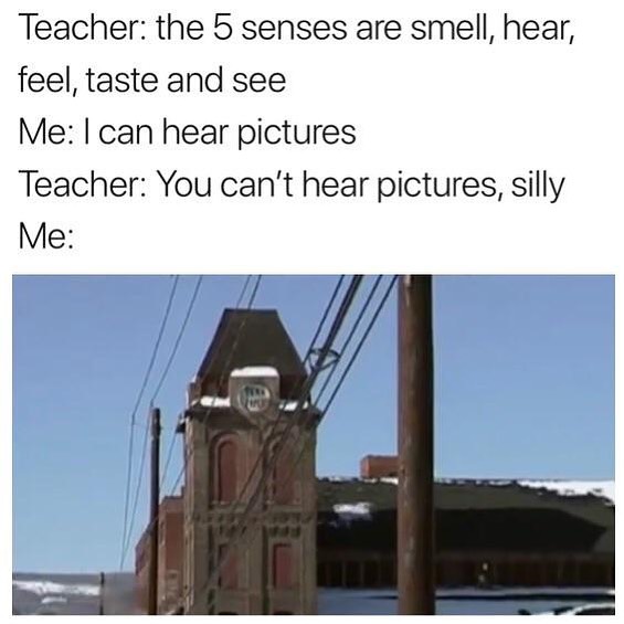 Teacher the 5 senses are smell hear feel taste and see Me can hear pictures Teacher You cant hear pictures silly Me
