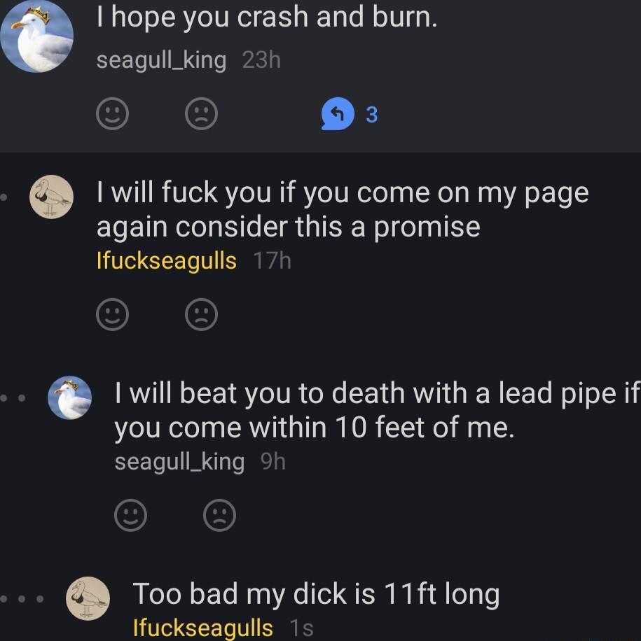 I hope you crash and burn seagull_king 23h 6 K 1 will fuck you if you come on my page again consider this a promise Ifuckseagulls will beat you to death with a lead pipe if you come within 10 feet of me seagull_king Too bad my dick is 11ft long Ifuckseaqulls