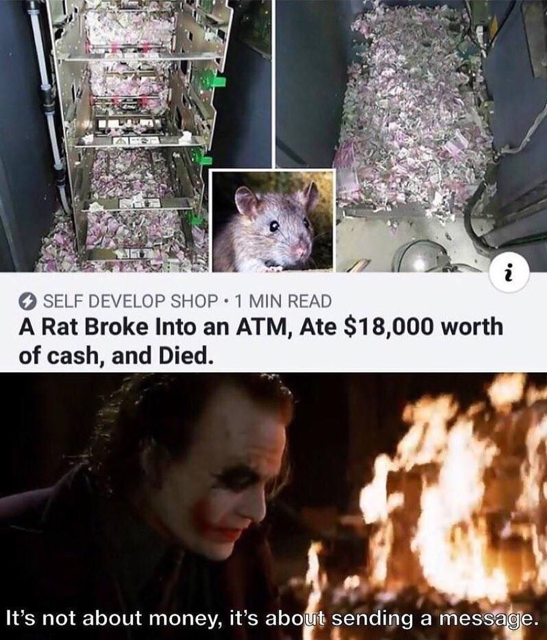 SELF DEVELOP SHOP 1 MIN READ A Rat Broke Into an ATM Ate 18000 worth of cash and Died Its not about money its aboy tl SYTale Tale resse IS