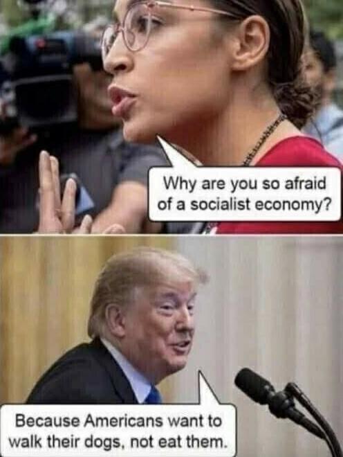 Why are you so afraid of a socialist economy? Because Americans want to walk their dogs, not eat them.
