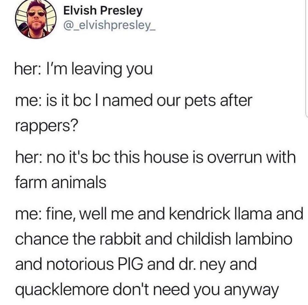 Elvish Presley _elvishpresley_ her Im leaving you me is it bc named our pets after rappers her no its bc this house is overrun with farm animals me fine well me and kendrick llama and chance the rabbit and childish lambino and notorious PIG and dr ney and quacklemore dont need you anyway