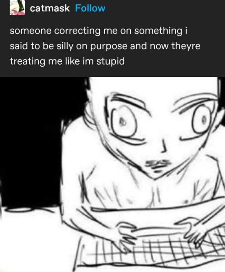 catmask Follow someone correcting me on something i said to be silly on purpose and now theyre treating me like im stupid