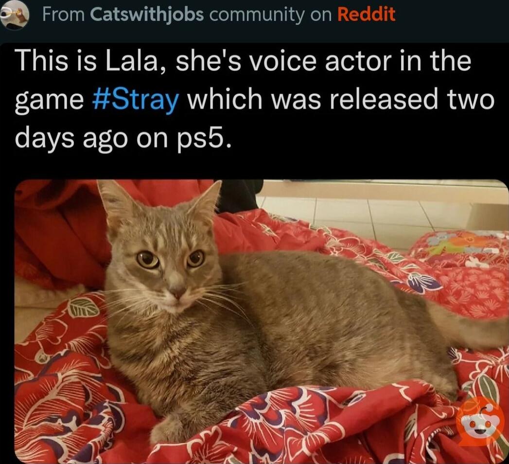 From Catswithjobs community on This is Lala shes voice actor in the game Stray which was released two days ago on psb