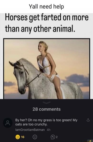 Yall need help
Horses get farted on more than any other animal.