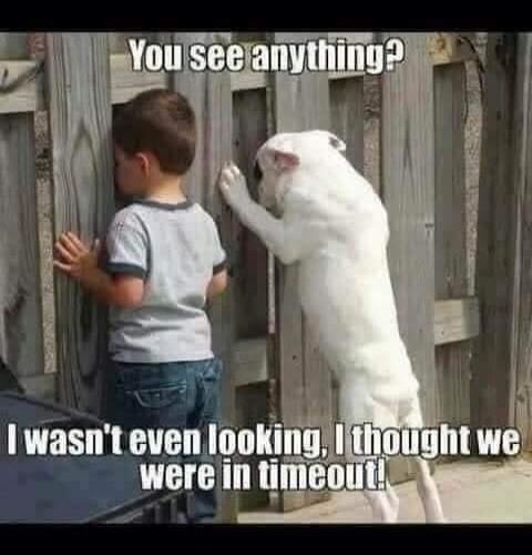 You see anything? I wasn't even looking, I thought we were in timeout!