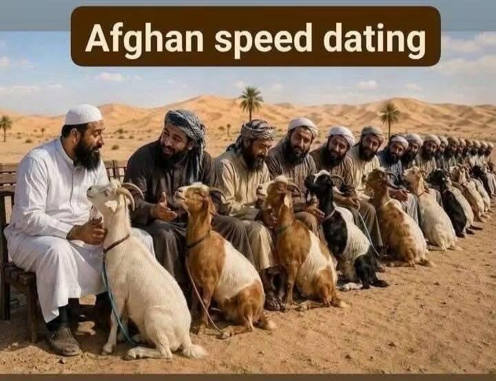 Afghan speed dating