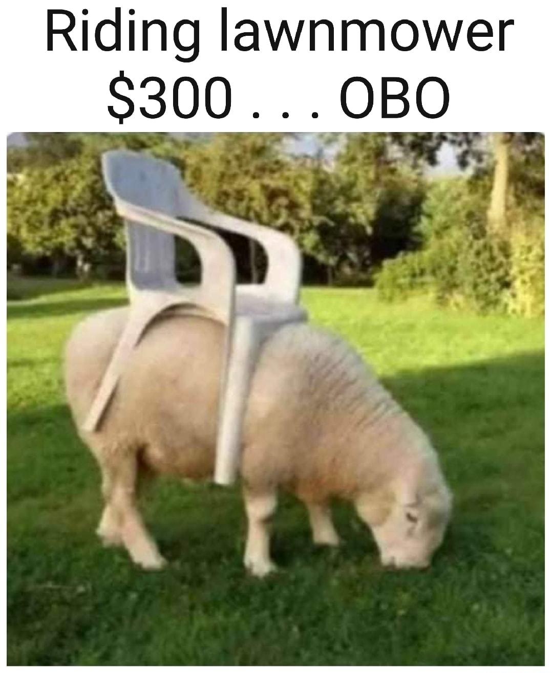 Riding lawnmower 300 0BO