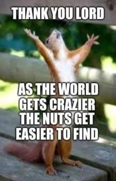 THANK YOU LORD AS THE WORLD GETS CRAZIER THE NUTS GET EASIER TO FIND