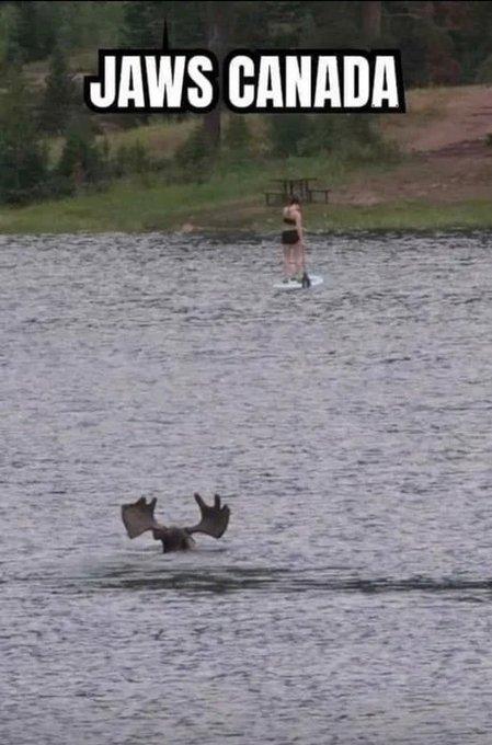 JAWS CANADA