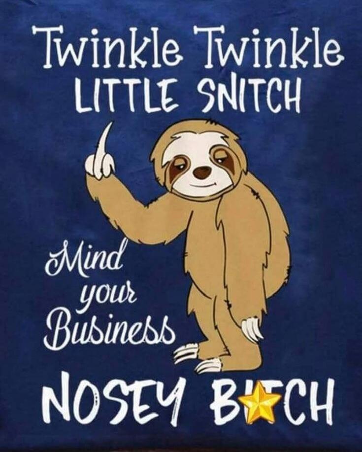 Twinkle Twinkle LITTLE SNITCH Mind your Business NOSEY BITCH