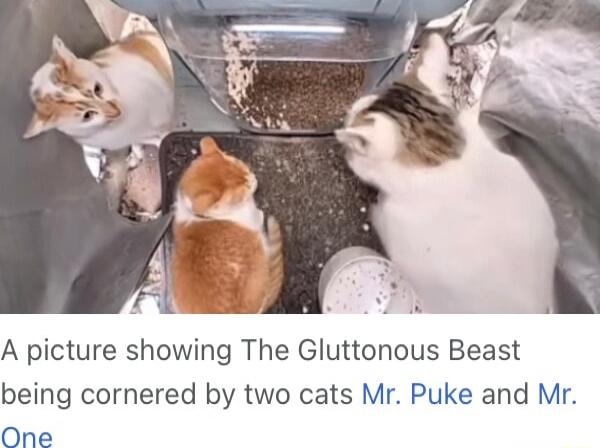 A picture showing The Gluttonous Beast being cornered by two cats Mr Puke and Mr One