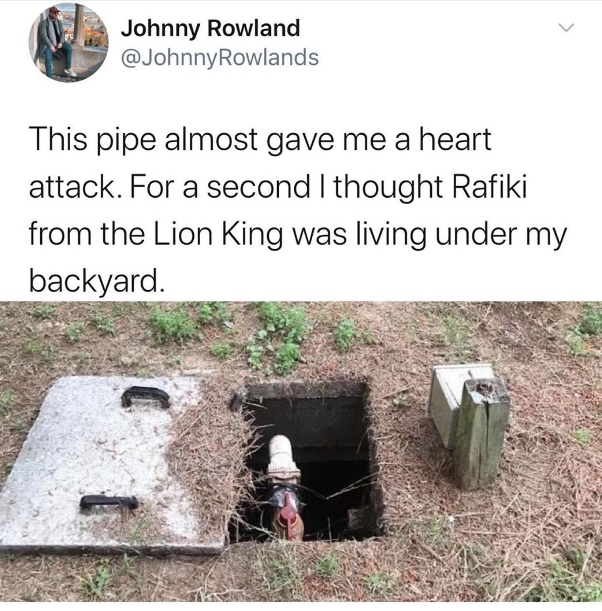 Johnny Rowland v JohnnyRowlands This pipe almost gave me a heart attack For a second thought Rafiki from the Lion King was living under my backyard