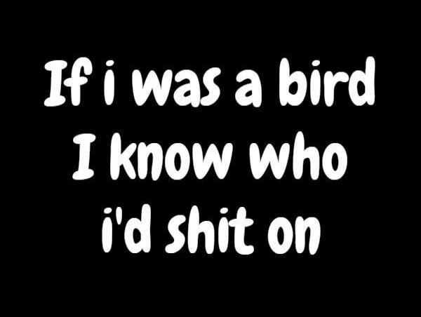 If i was a bird I know who i'd shit on