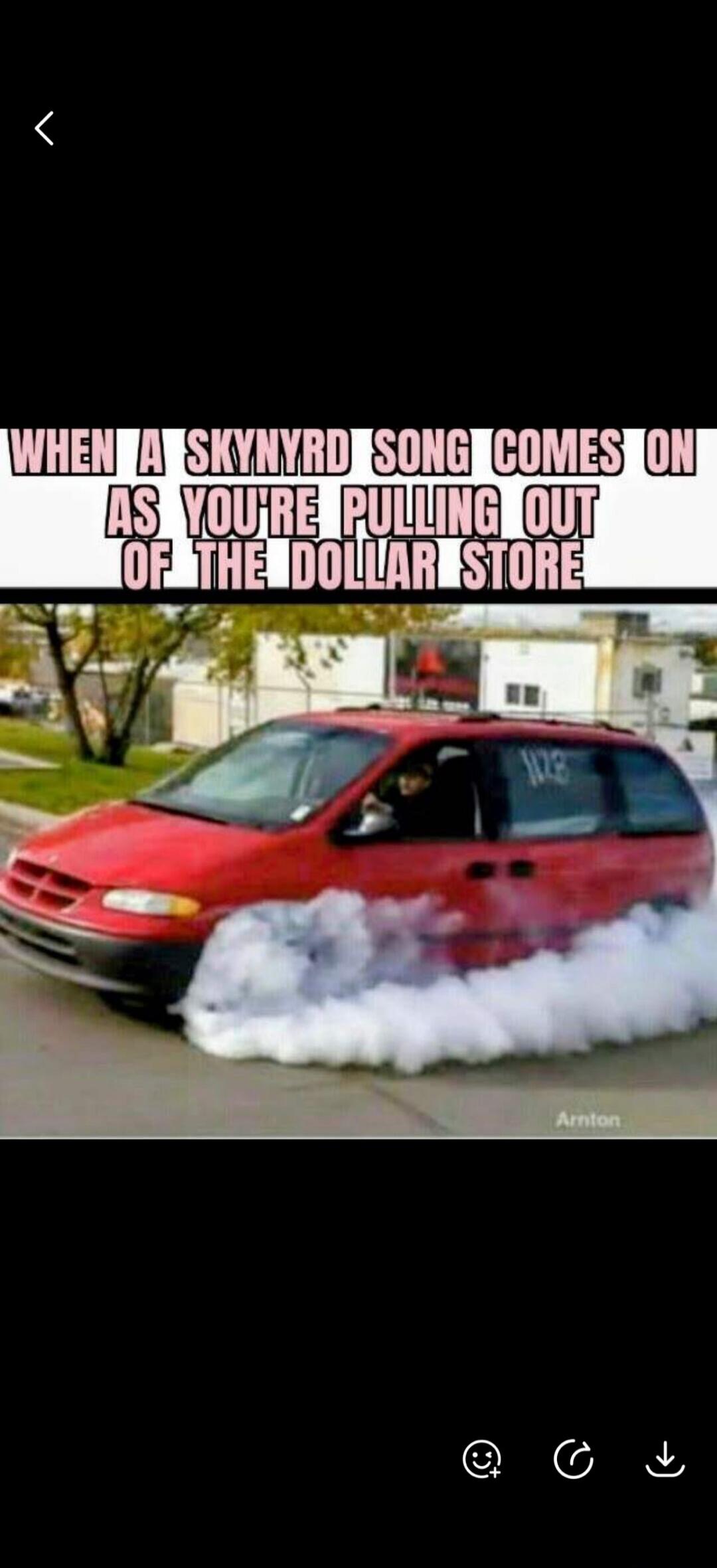 WHEN A SKYNYRD SONG COMES ON AS YOU'RE PULLING OUT OF THE DOLLAR STORE