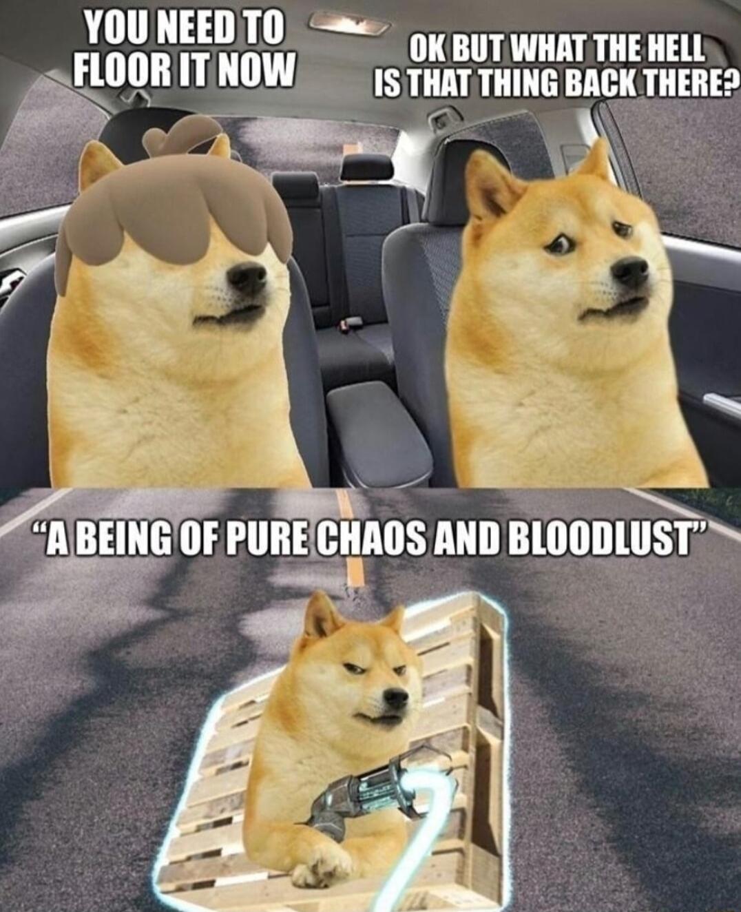 W NEEDITOLSS oy gy wiaT THE HELL FLOOR ITINOW S5 TiaT THING BACK THERED