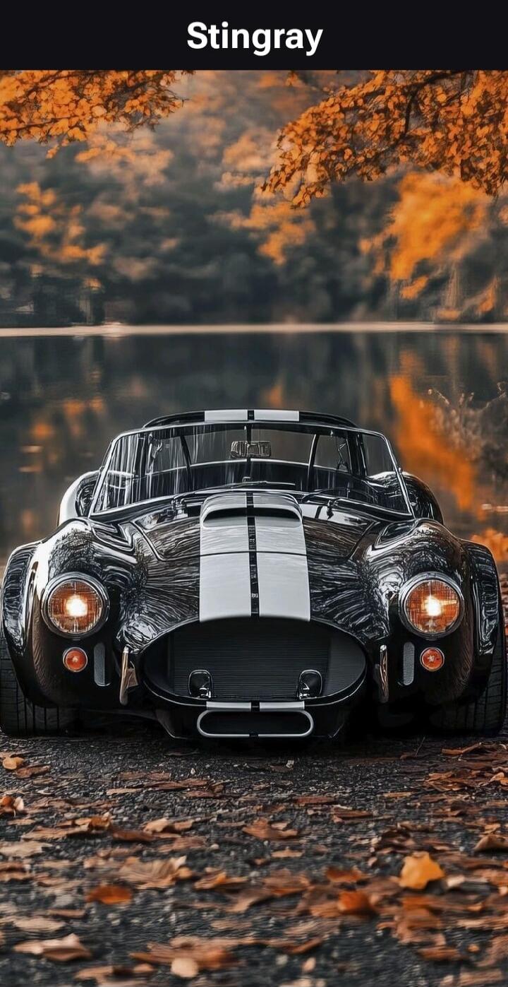 Stingray