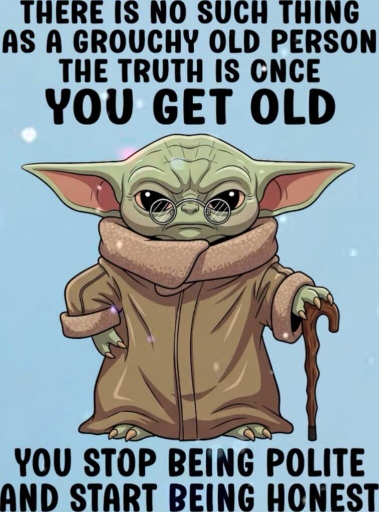 THERE IS NO SUCH THING AS A GROUCHY OLD PERSON THE TRUTH IS ONCE YOU GET OLD YOU STOP BEING POLITE AND START BEING HONEST