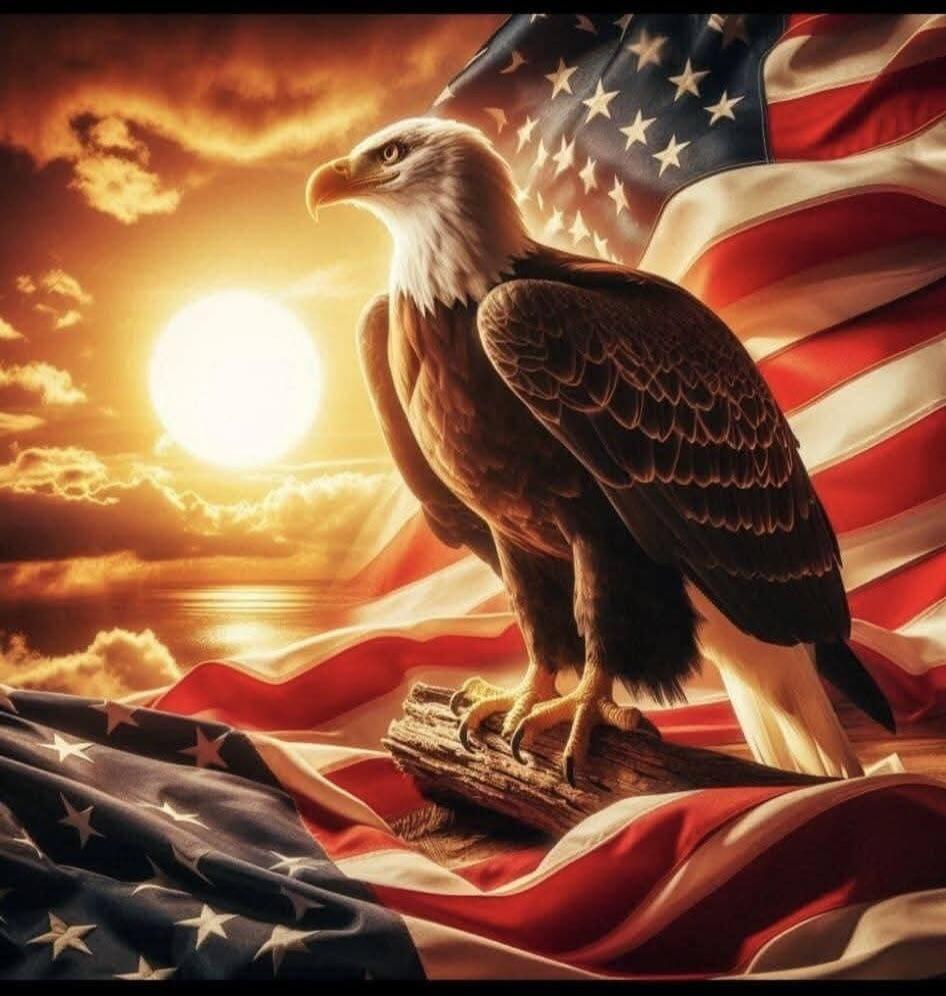 A bald eagle perched on a log with the American flag and a dramatic sunset in the background.