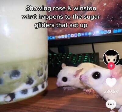 o B Showing rose winston g