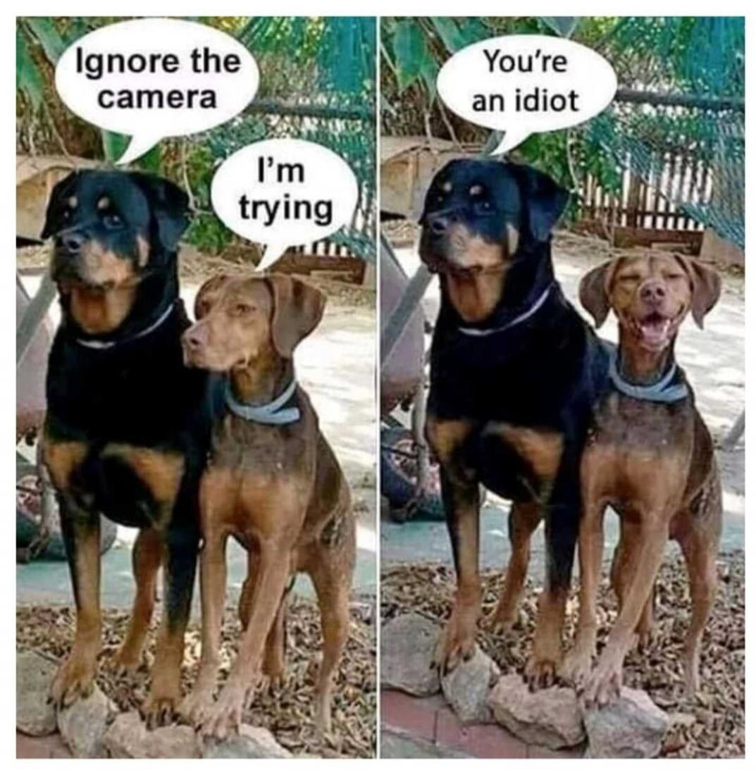Ignore the camera. I'm trying. You're an idiot.