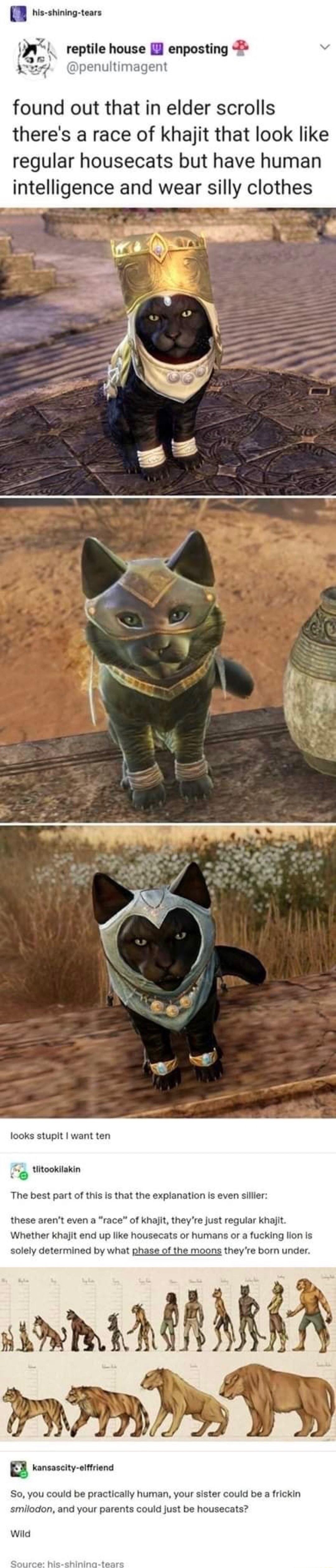 his shining tears reptile house l enposting penulti nt found out that in elder scrolls theres a race of khajit that look like regular housecats but have human intelligence and wear silly clothes 1ooks stupit want ten tiitookilakin The best part of at the explanation is even silier these arent even a race of kha e Khajit Whether khajit end up like ho orafucking lion Is solely determined by what pha