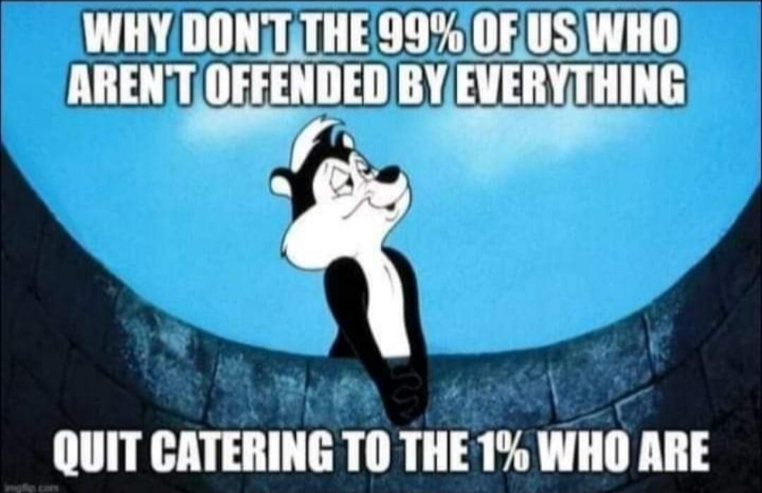 WHY DON'T THE 99% OF US WHO AREN'T OFFENDED BY EVERYTHING QUIT CATERING TO THE 1% WHO ARE