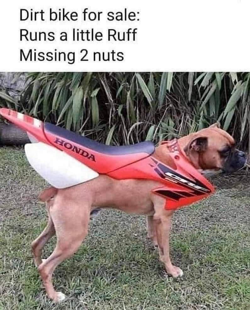 Dirt bike for sale Runs a little Ruff Missing 2 nuts